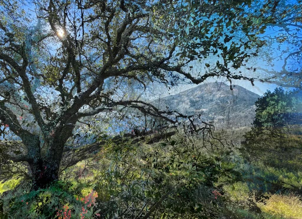 Saint Helena Mountain