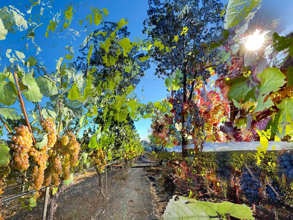 Path to Press