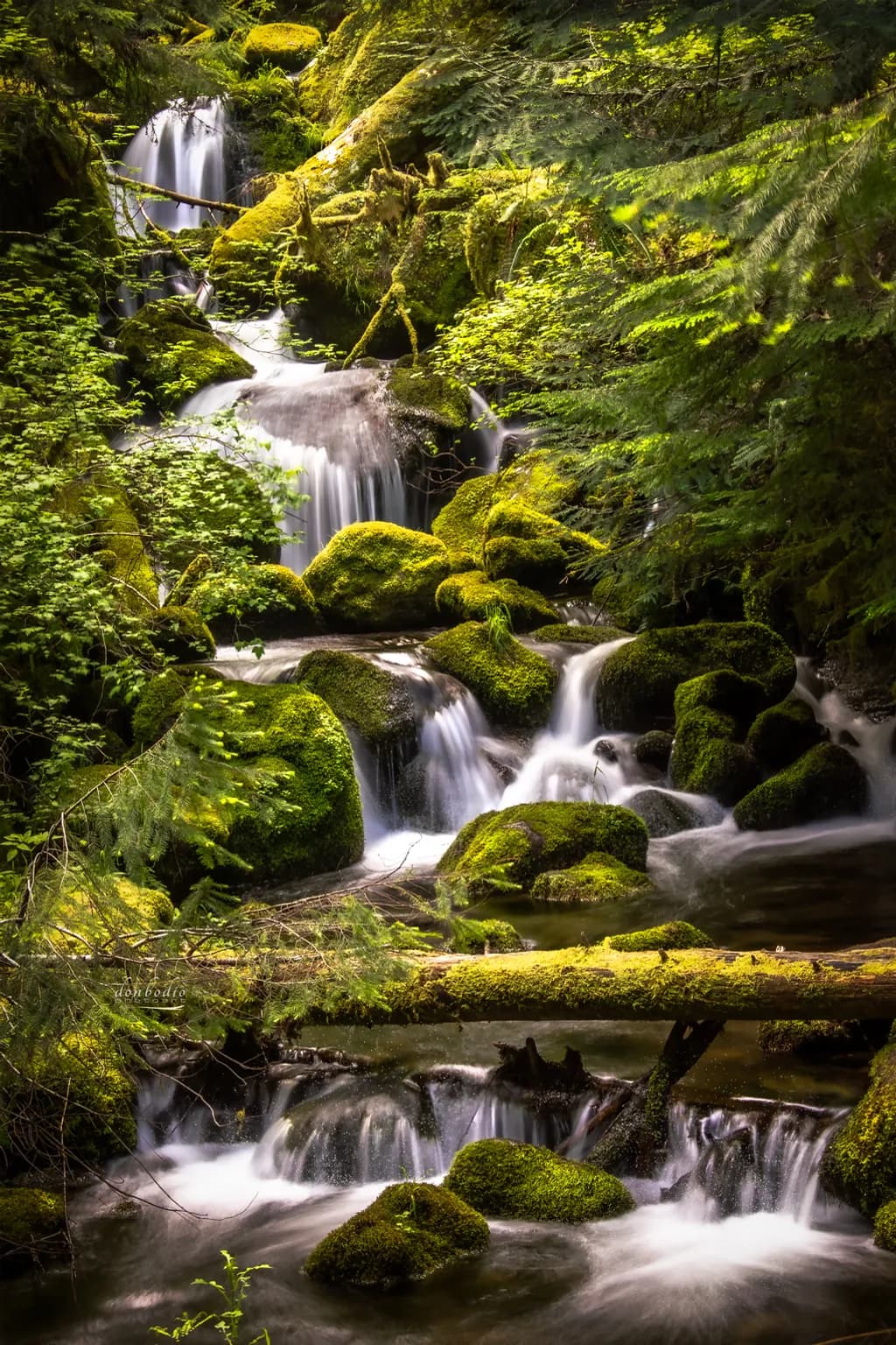 Watson Creek Cascades