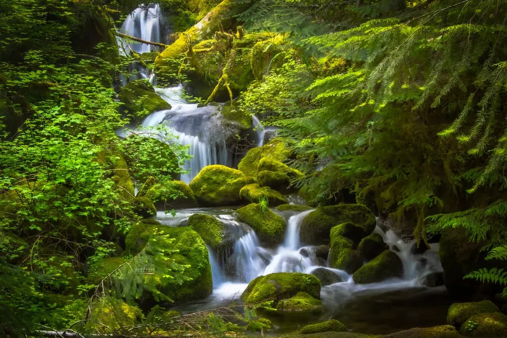 Watson Creek Cascades