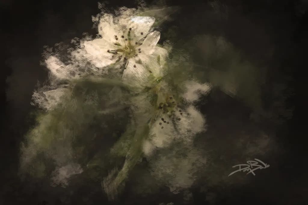 Wild Pear Blossom