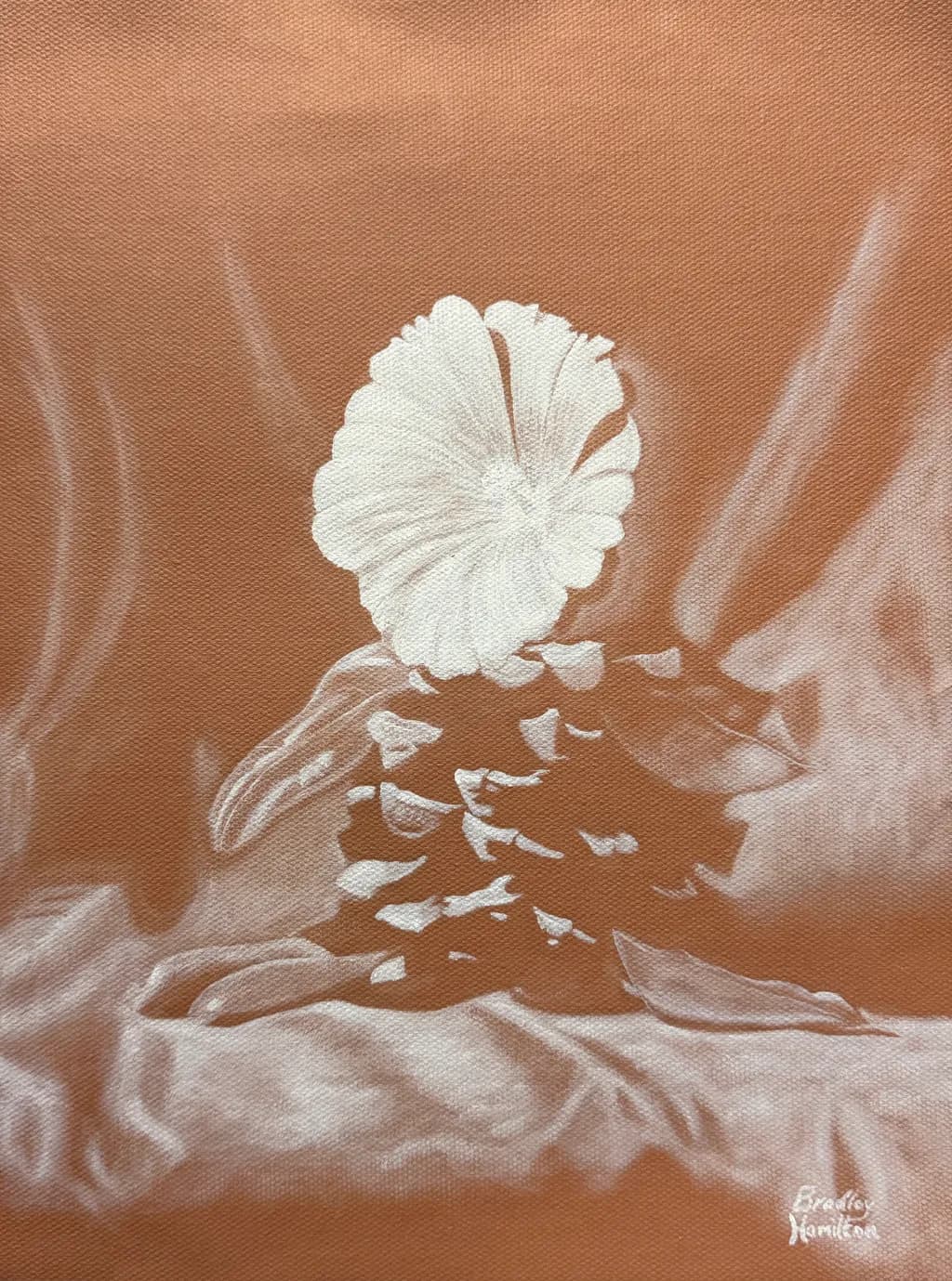 Pinecone and Flower Still Life