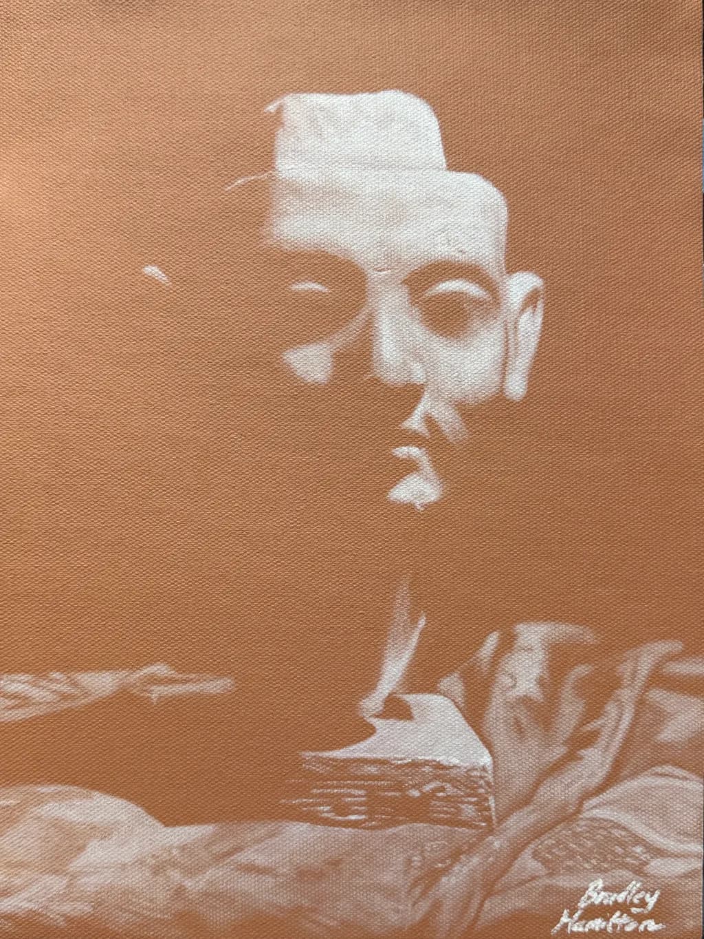 Sunlit Portrait Shadows