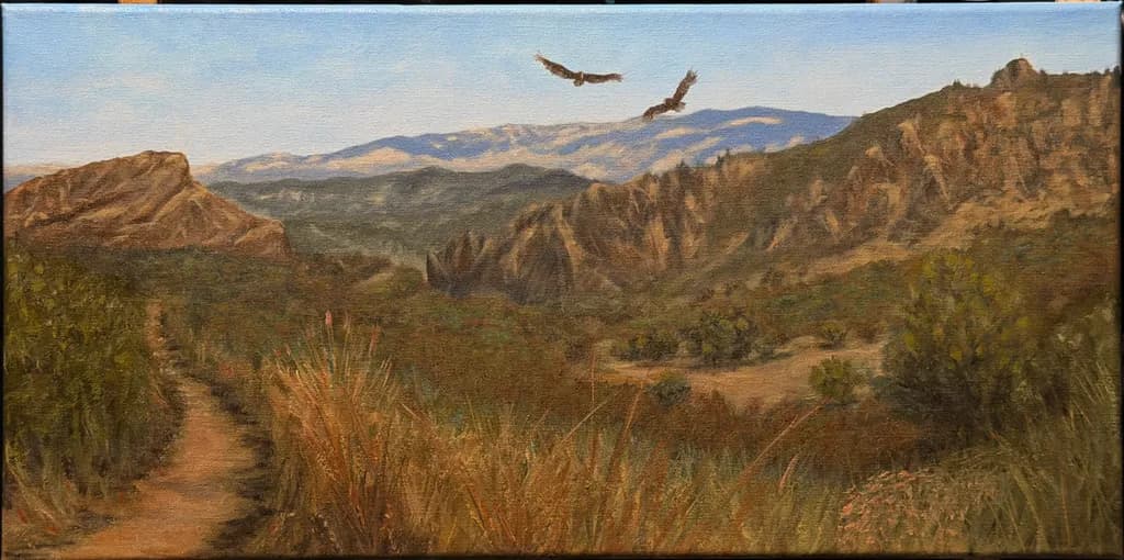Pinnacles View