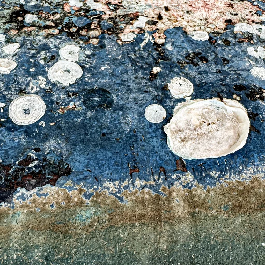 Keewaydin Island Texture