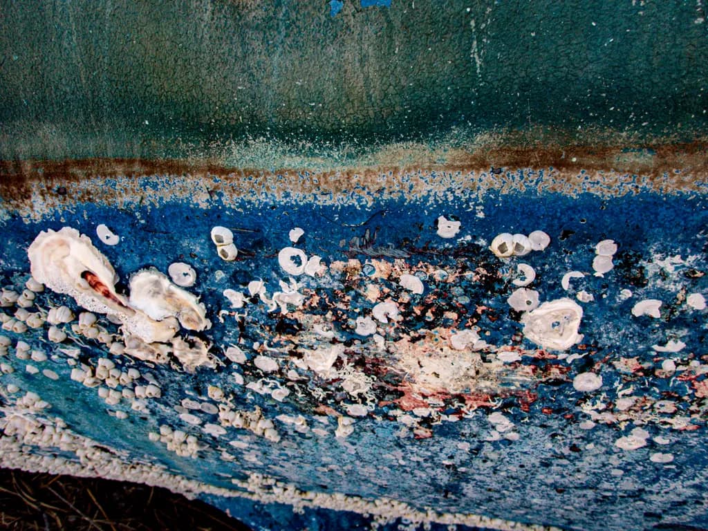 Keewaydin Island Marine Texture