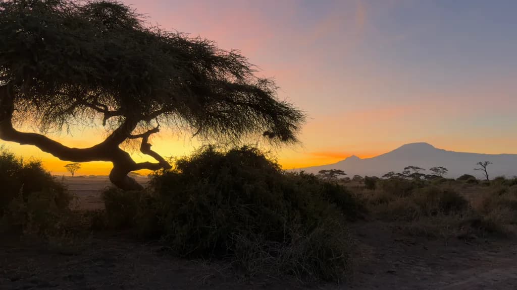 Dawn on the Savannah