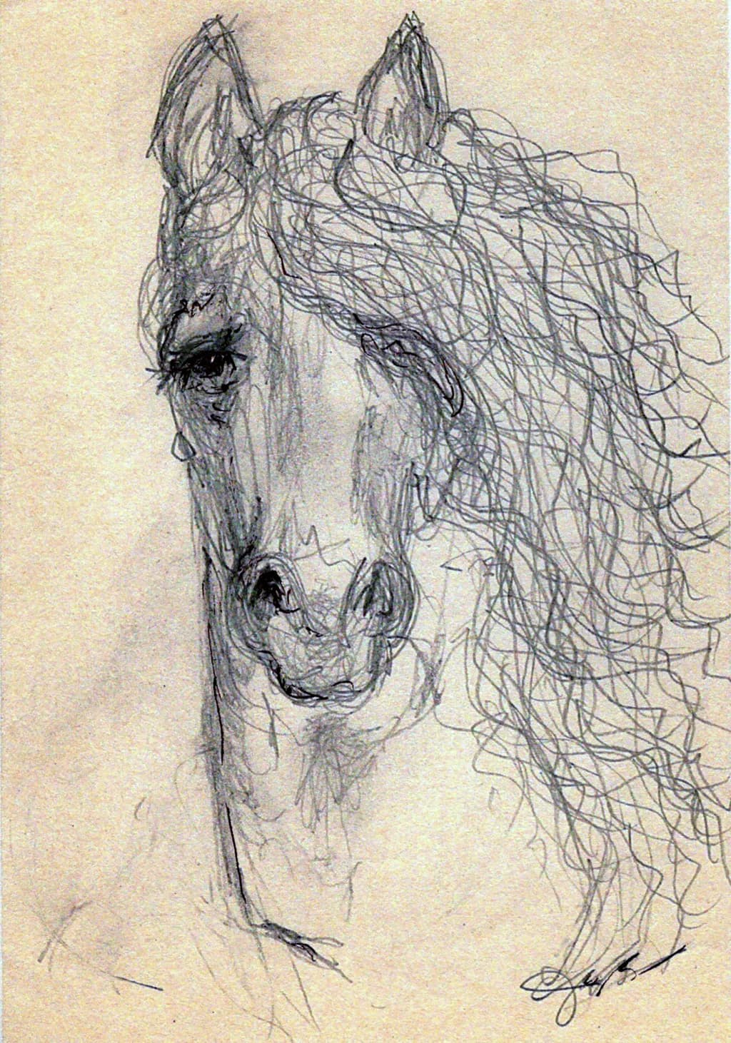 SKETCH HORSE