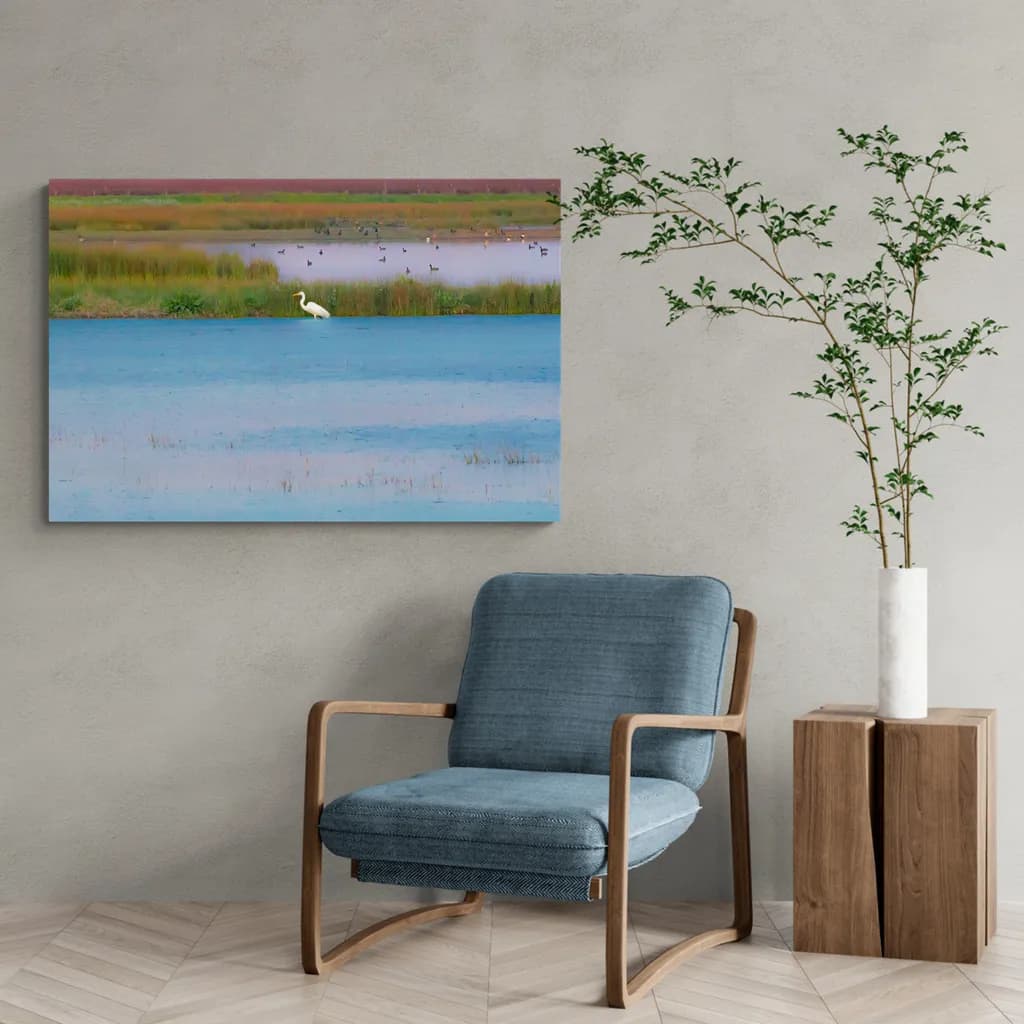 Solitary Waterscape