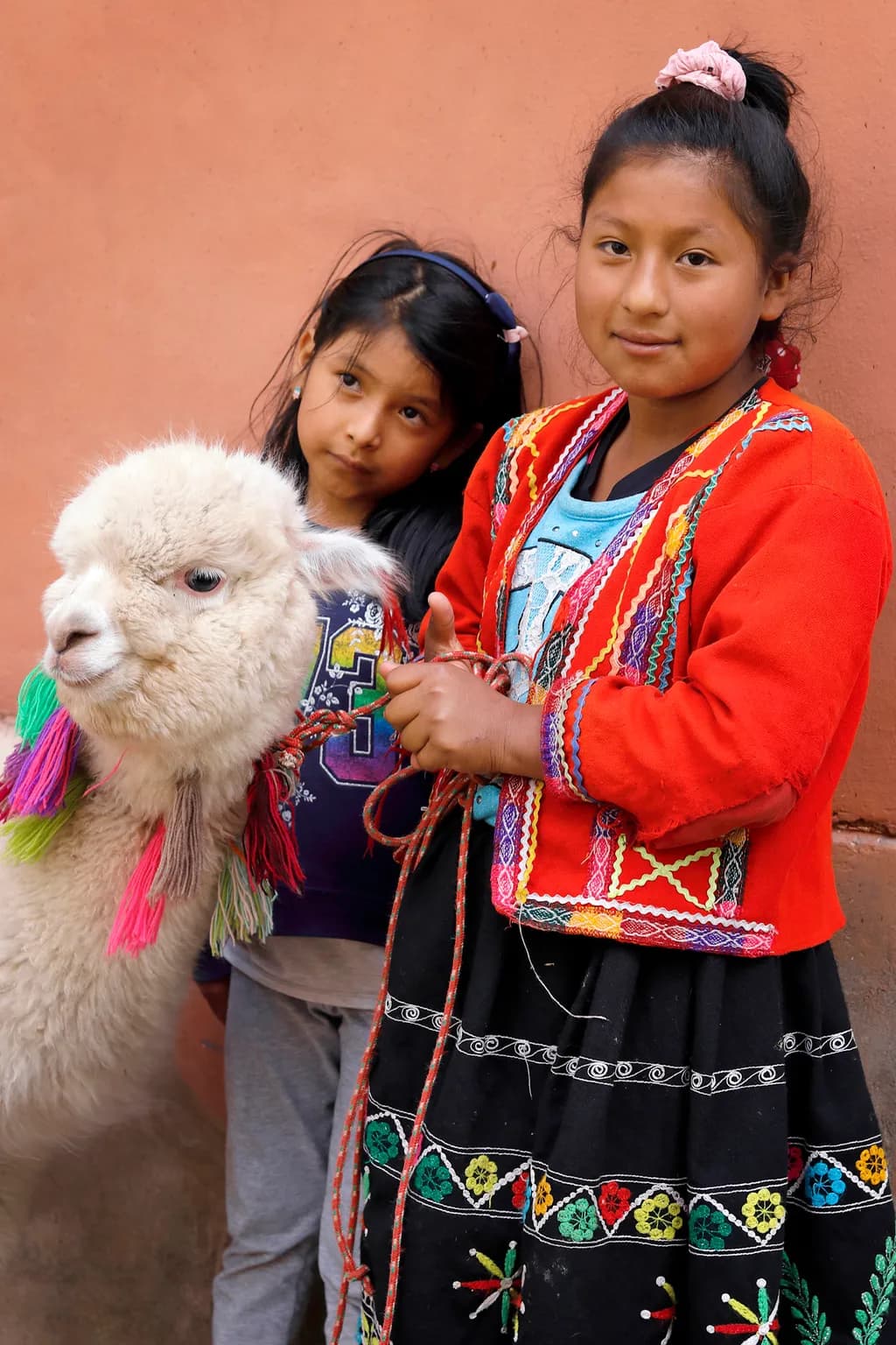 Peruvian Girls with Alpaca