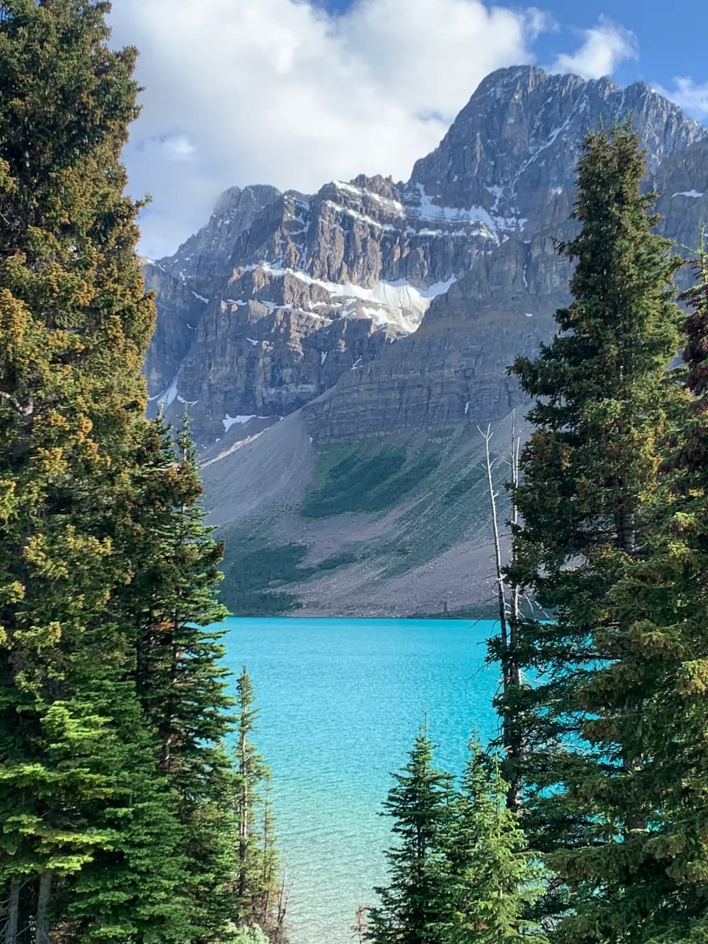 Serenity in the Mountains: A Tranquil Lake Surrounded by Majestic Peaks and Lush Pines