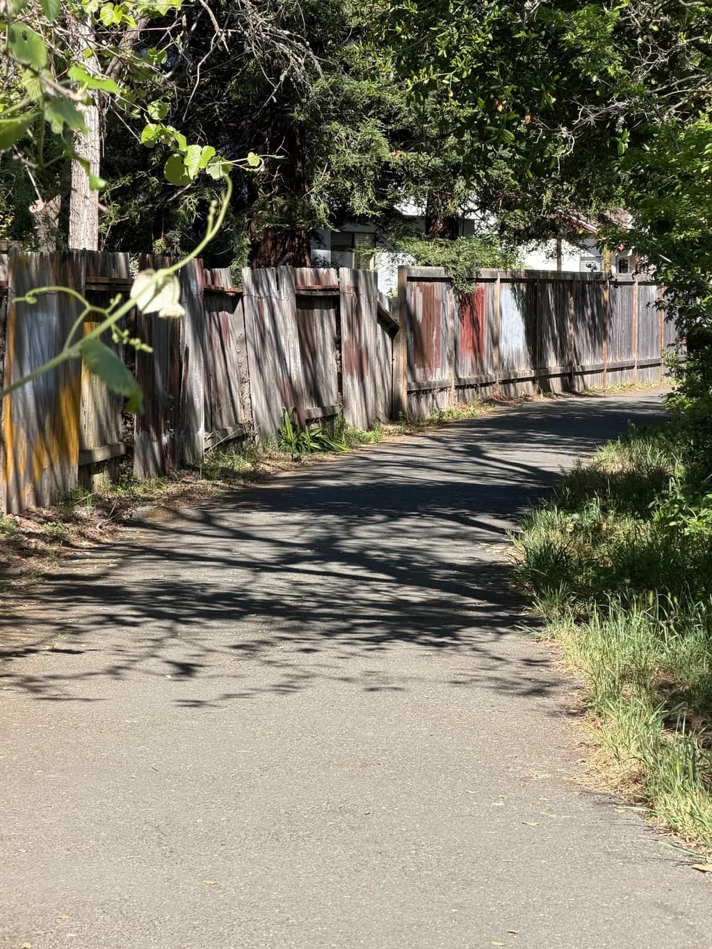 Rustic Fence Pathway