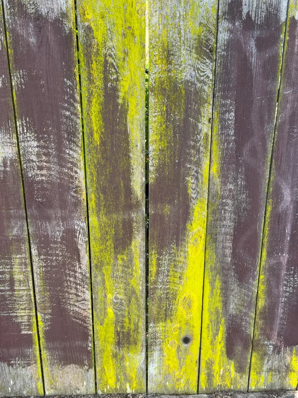 Mossy Wooden Fence