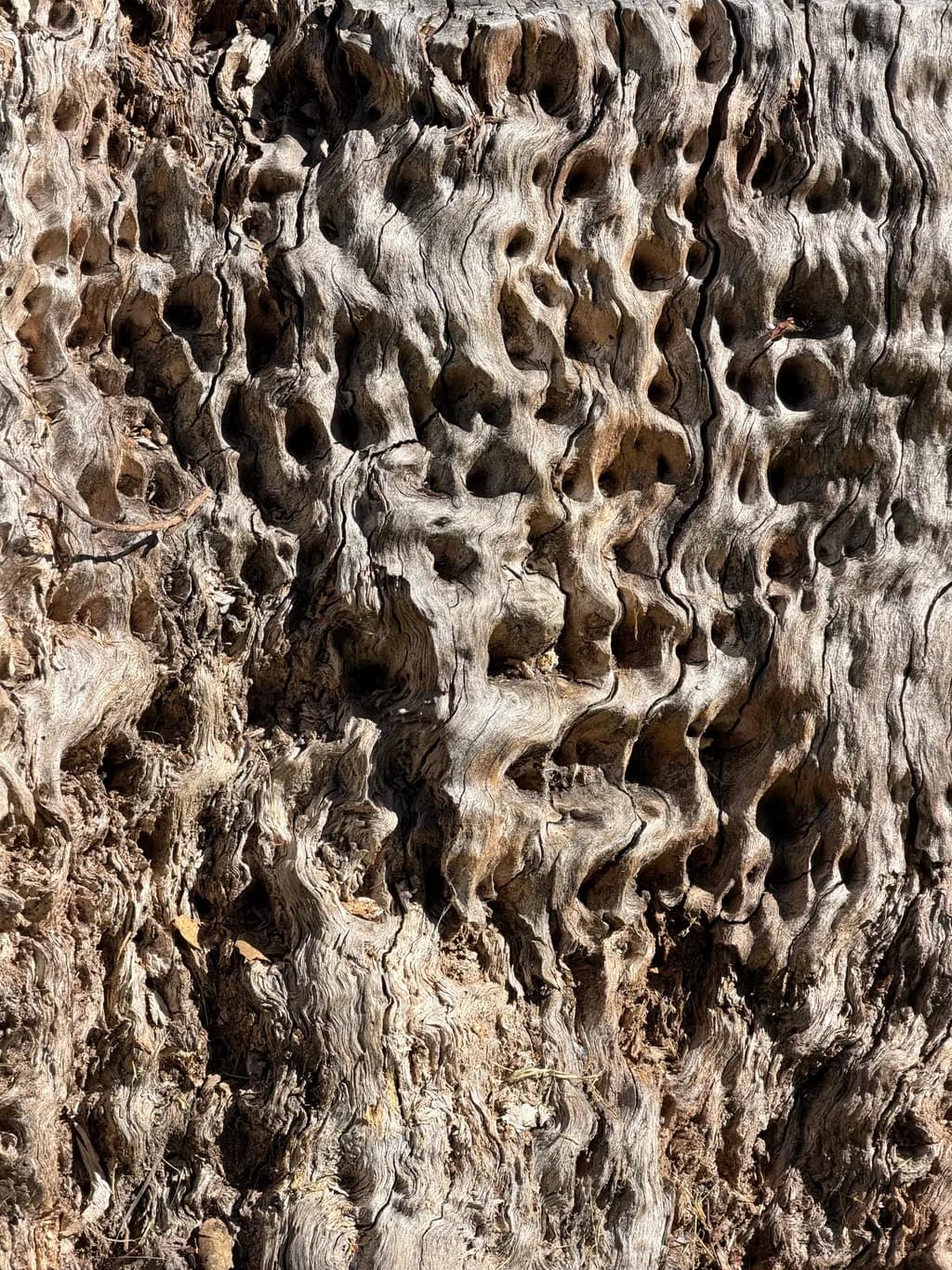 Wood Texture Patterns