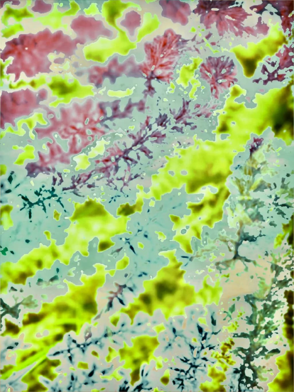 Abstract Floral Pattern