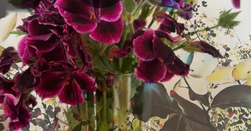Petunias in Bloom
