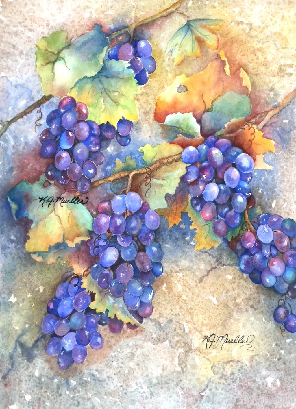 Harvest Vine Purple