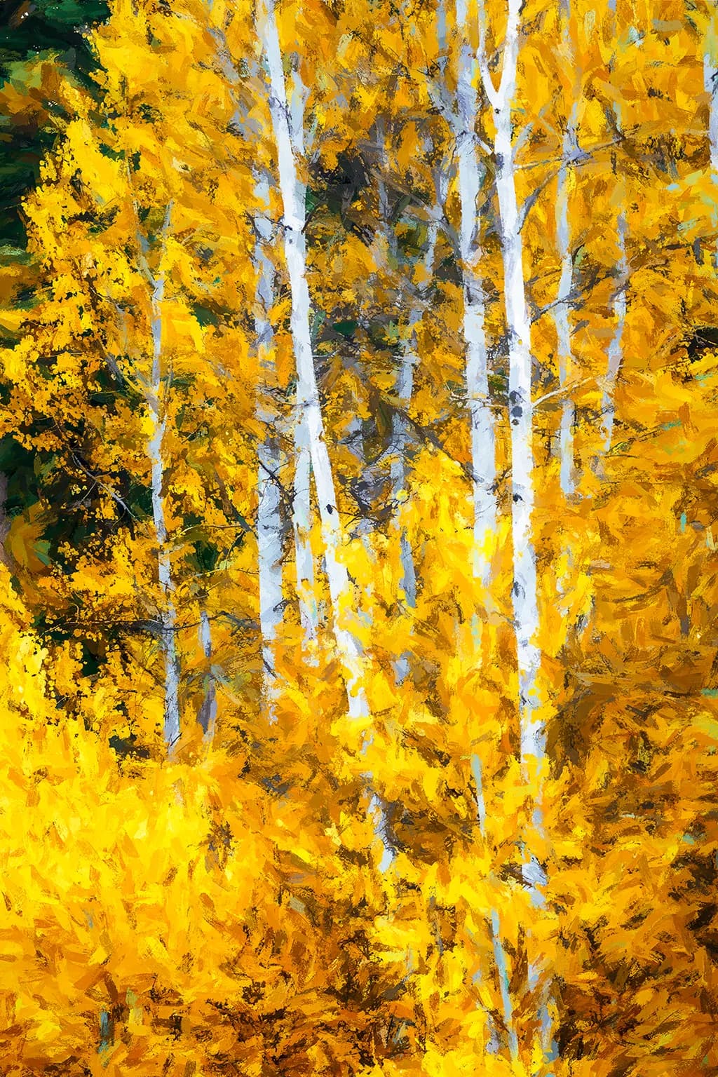 Aspens in Gold