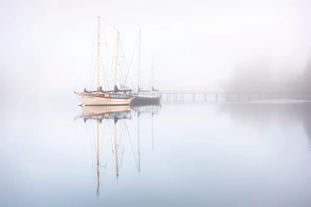 Where the Morning Waits