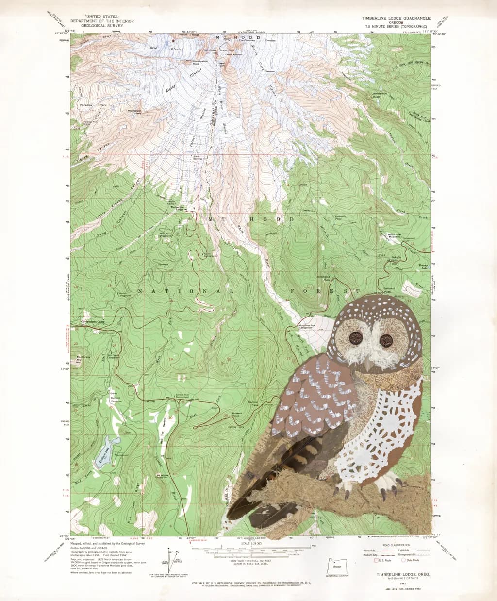 Whimsical Owl on Topographic Canvas: Nature's Artistry Unveiled