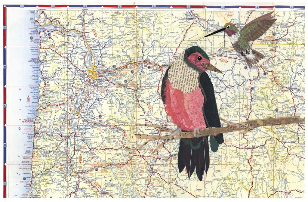 Whimsical Wings: A Journey Through Nature's Map