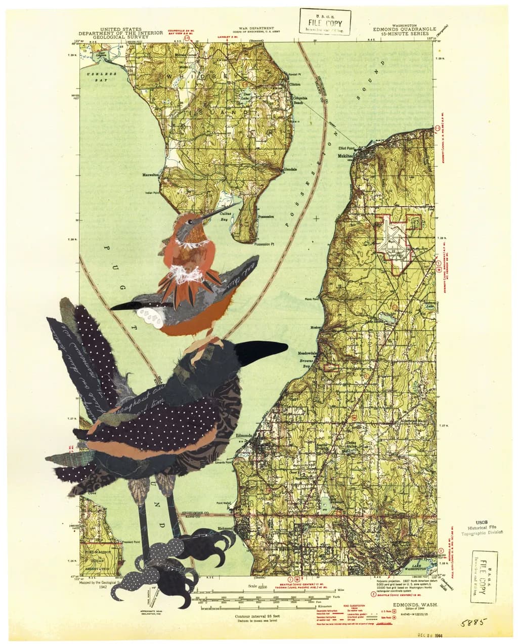 Whimsical Aviary: A Journey Through Nature's Map