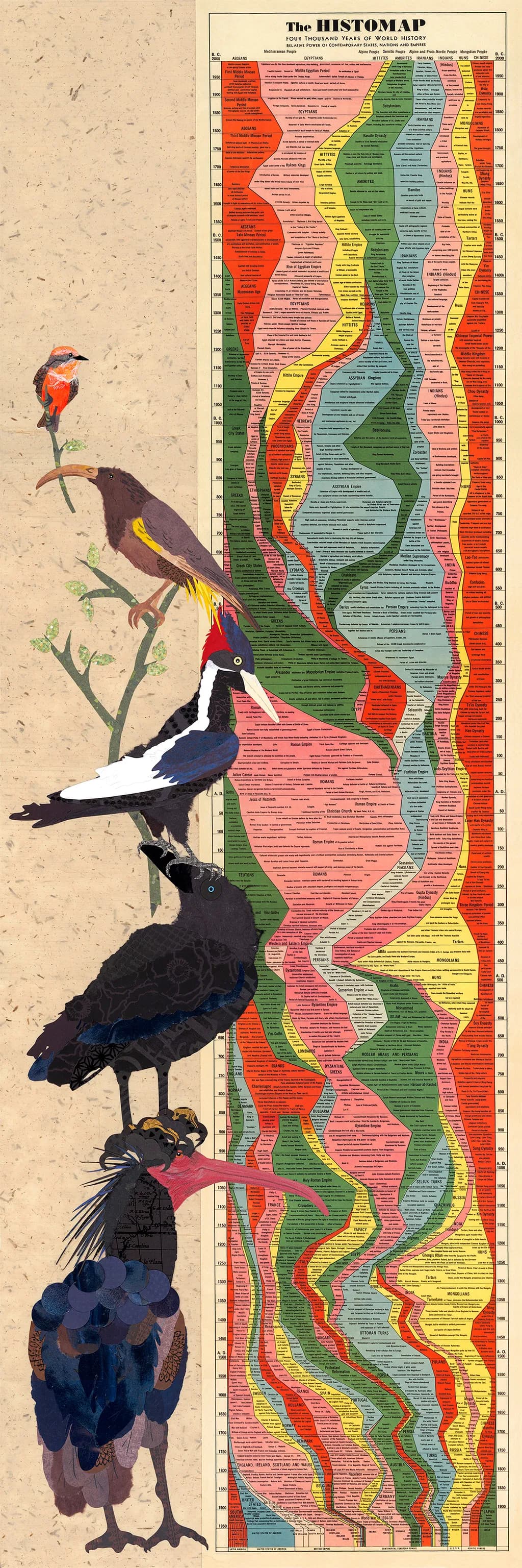 Colorful Chronicles: A Bird's Eye View of History Through Time and Illustration