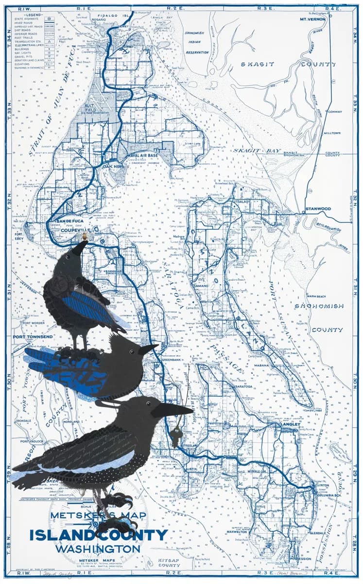 Island County Map Art: A Fusion of Nature and Cartography with Bold Blackbirds