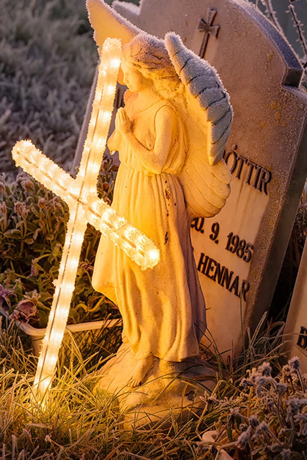 Frosted Vigil