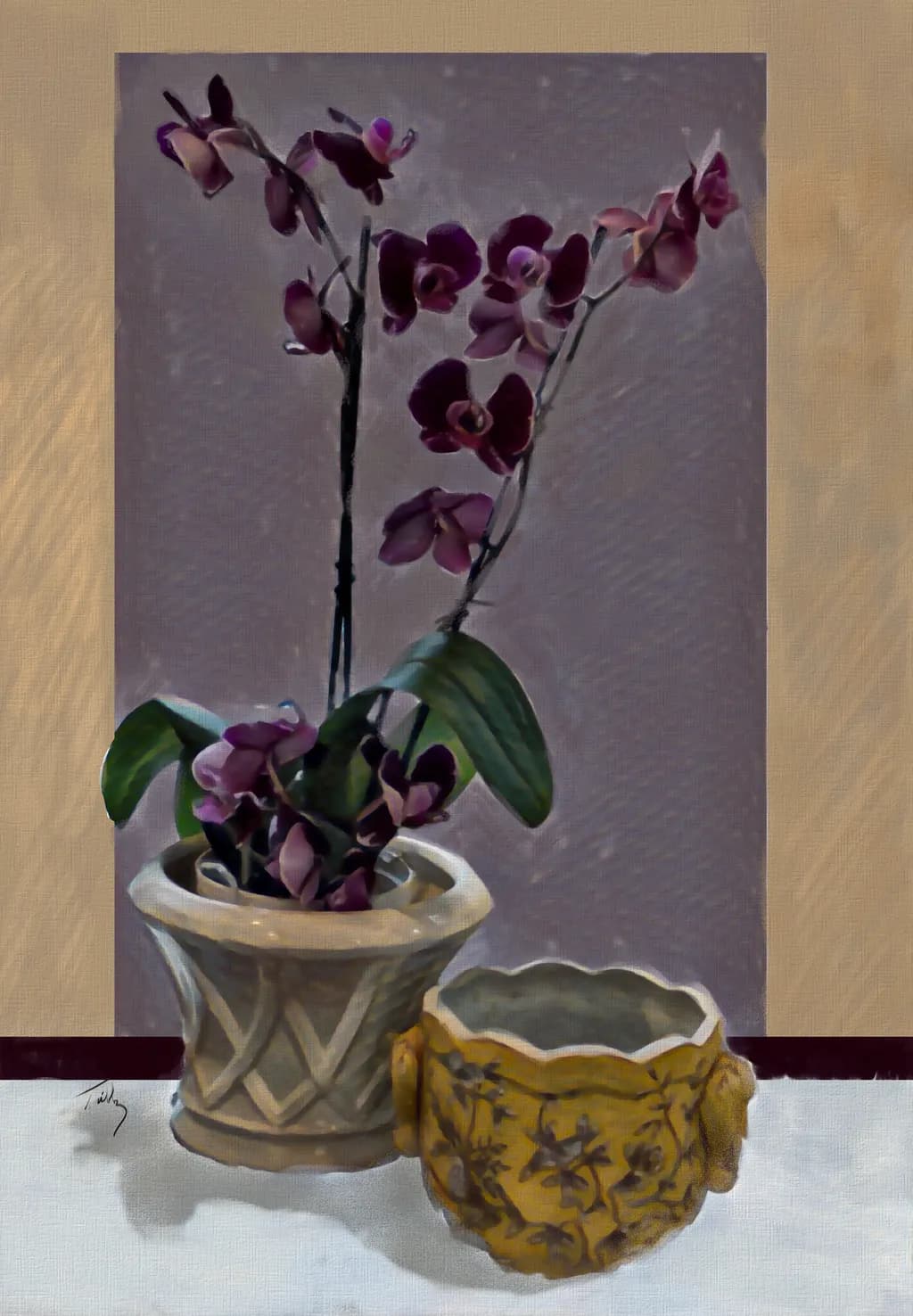 Purple Moth