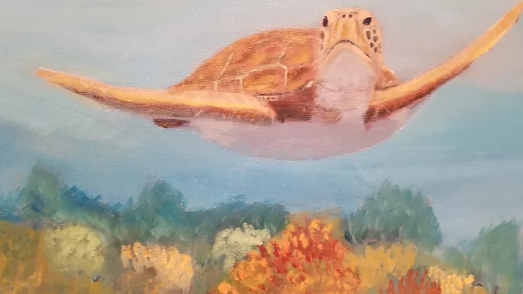 Serene Journey: A Majestic Sea Turtle Gliding Through Vibrant Coral Reefs