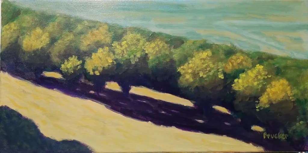 Golden Shadows: A Serene Landscape of Sunlit Trees and Gentle Waves
