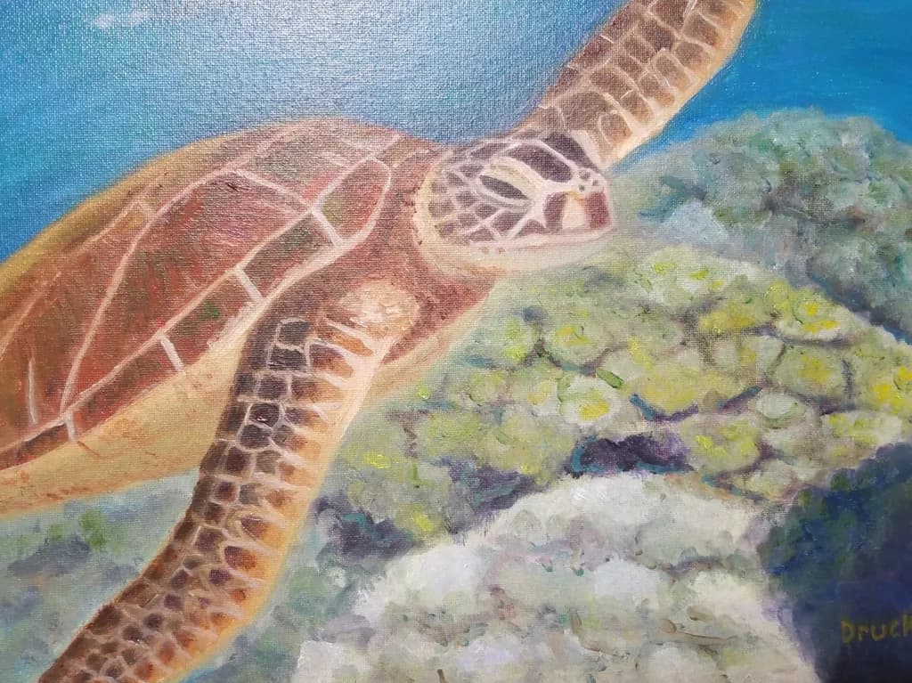 Sea Turtle Serenity