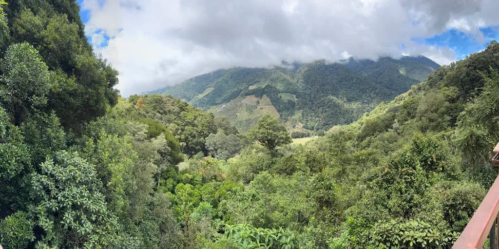 Serenity in the Green: A Panoramic View of Lush Mountains and Clouds