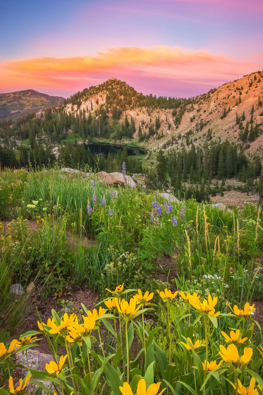 Lake Catherine Sunset