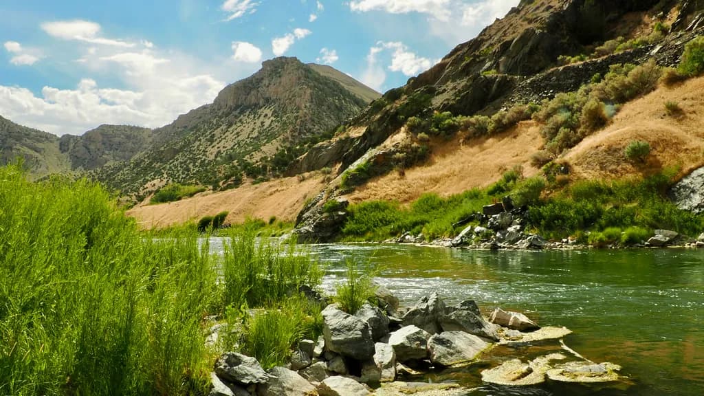 Mountain Stream Serenity