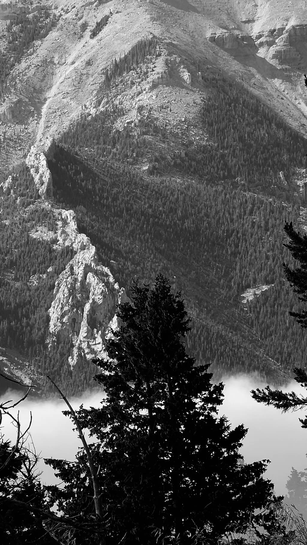 Mountain Shadows