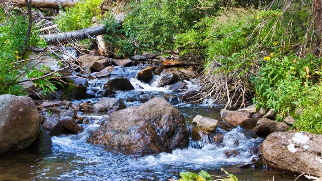 Gentle Stream