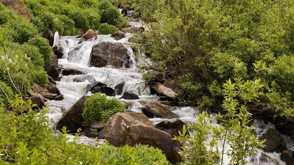 Creek Waterfall