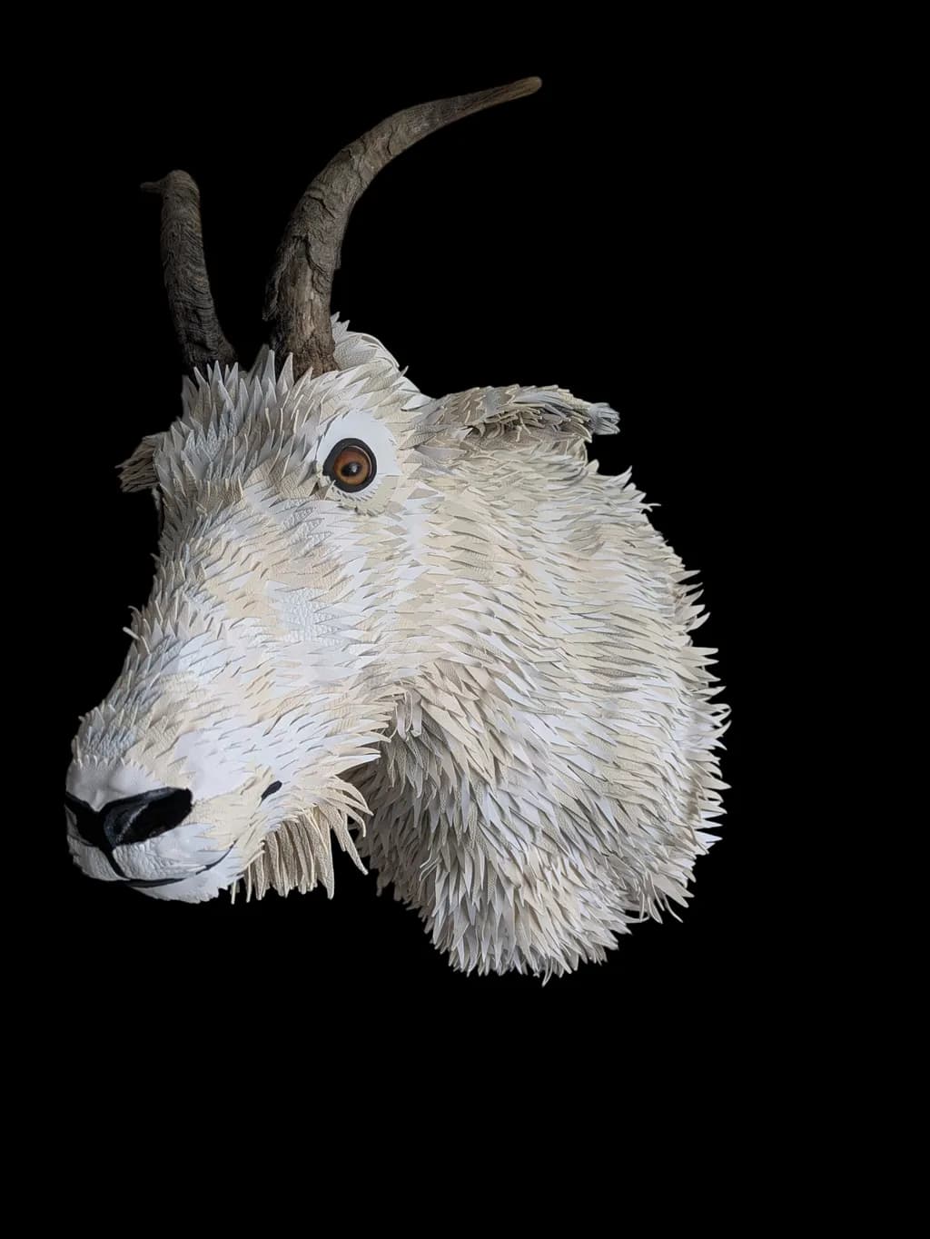 Mountain Goat Head