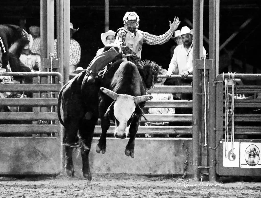 Rodeo Rush