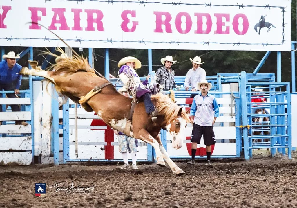 Airborne Rodeo