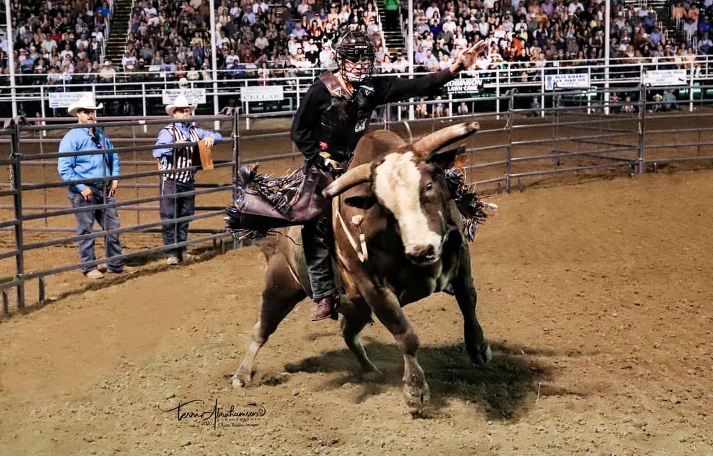 Elk City Bull Ride