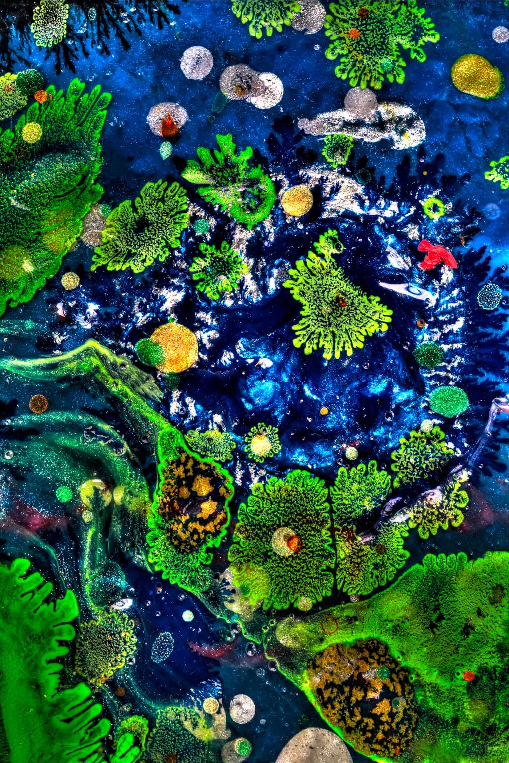 "Amoeba Bay”