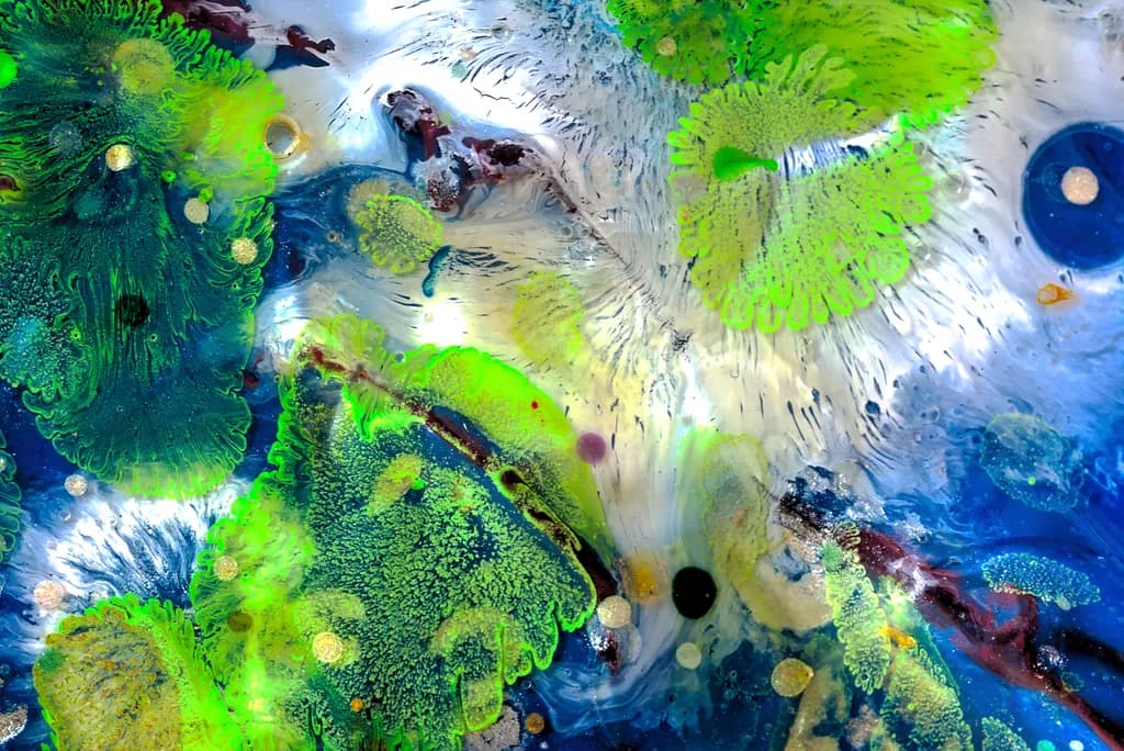 Tidepool Fog