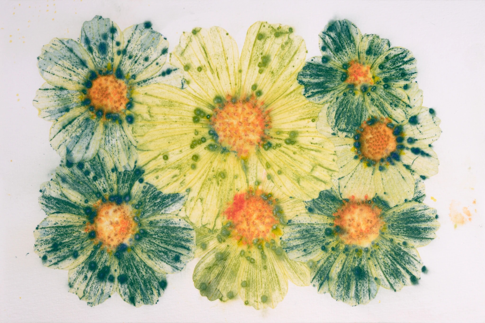 Floral Bevy
