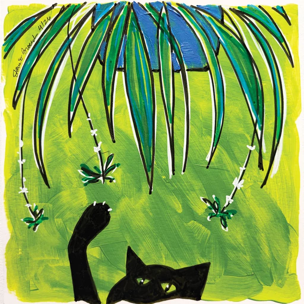 Cool-Spidy Cat