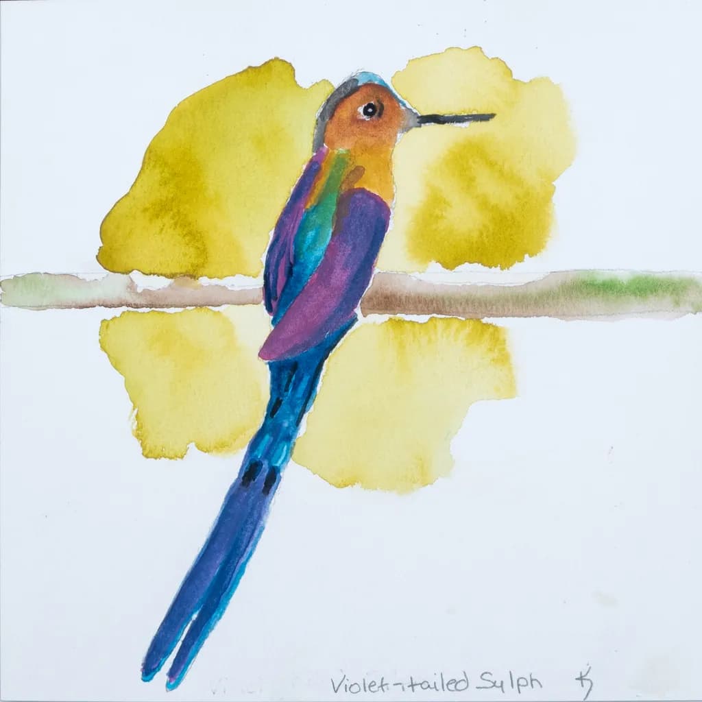 A Vibrant Encounter with Nature's Sylph