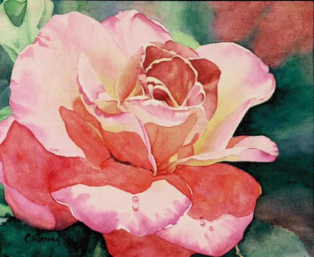 Blossoming Elegance: A Watercolor Rose in Soft Hues