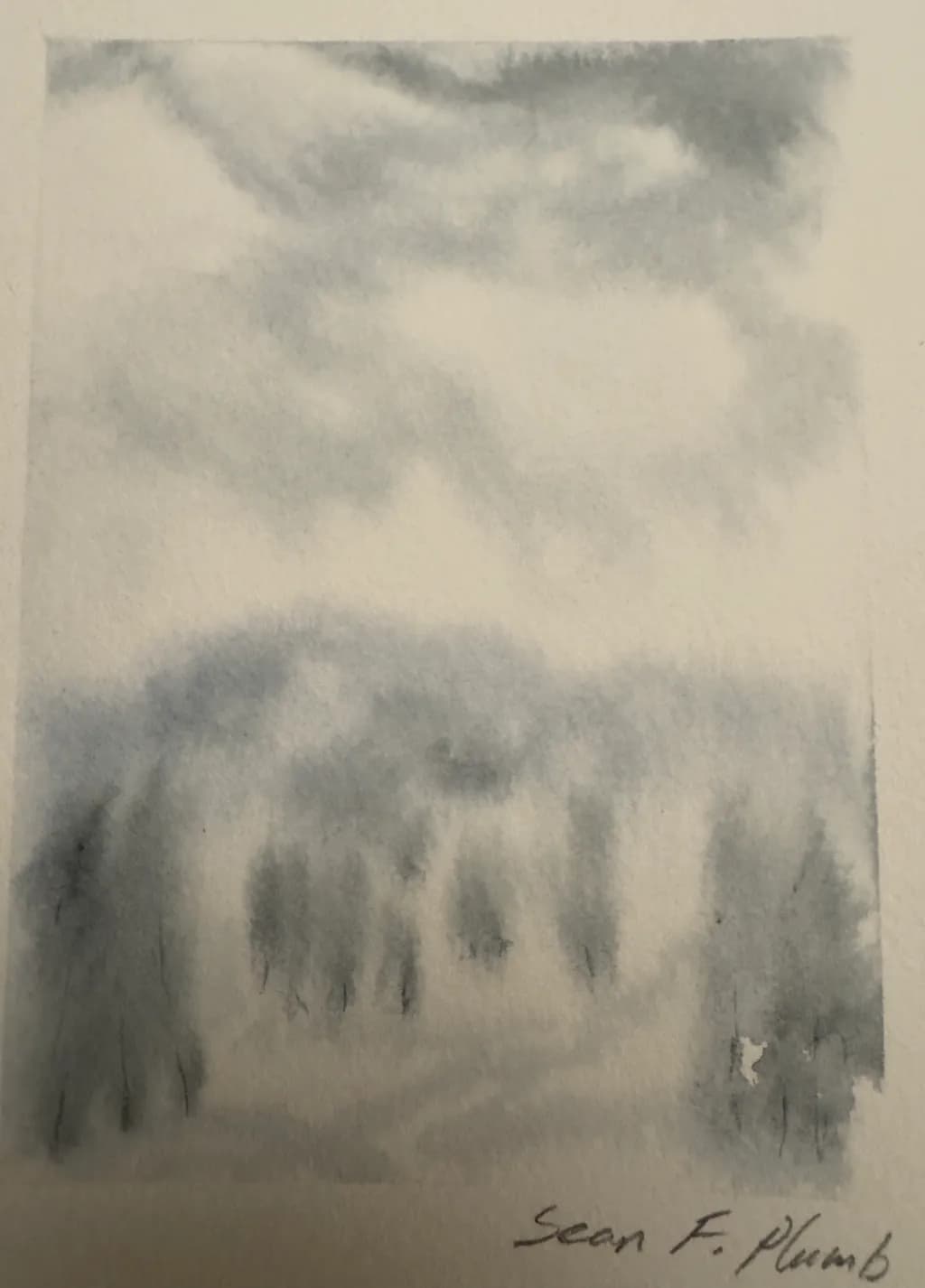 Snowy Silhouettes
